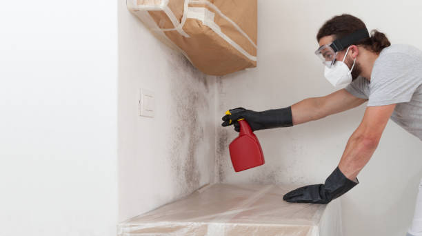 Professional Attic Mold Removal technician working in Fremont, NC