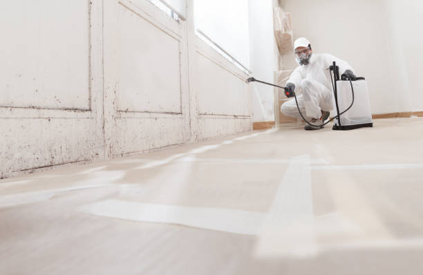 24/7 Emergency Attic Mold Removal experts in Fremont, NC